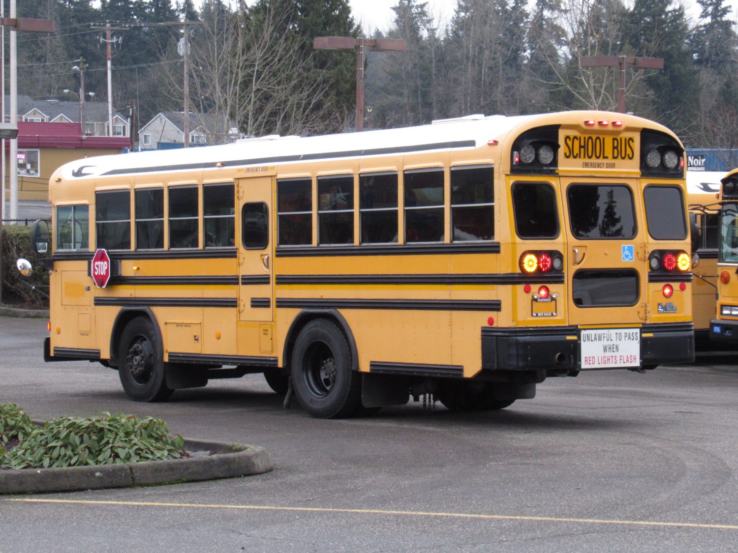 2006 Bluebird All American 14+3 Passenger ADA School Bus - B37890 - Image 4