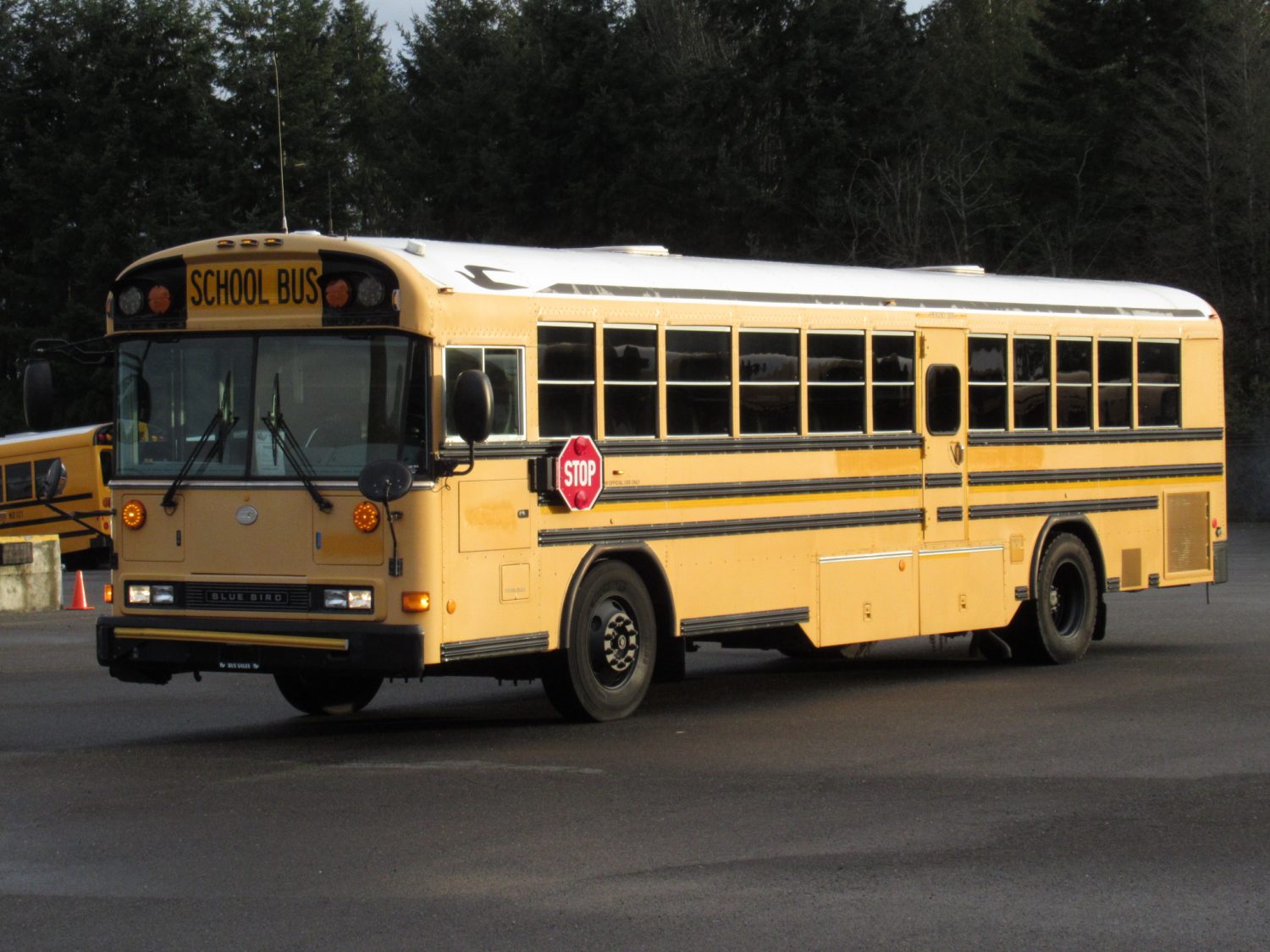 2007 Blue Bird All American 75 Passenger School Bus - B43227 - Image 2