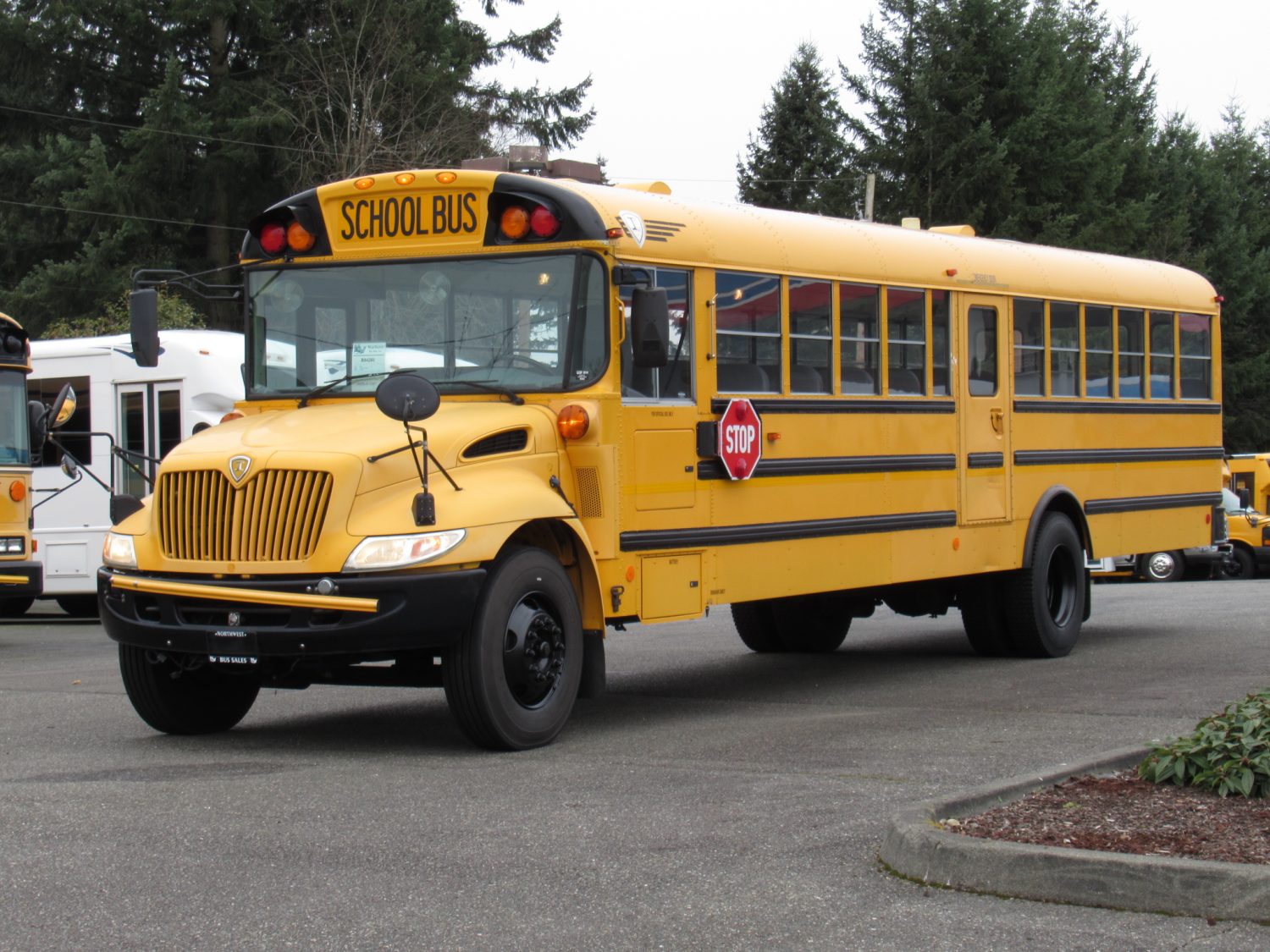 2005 International CE-300 71 Passenger Conventional School Bus - B75182 - Image 2