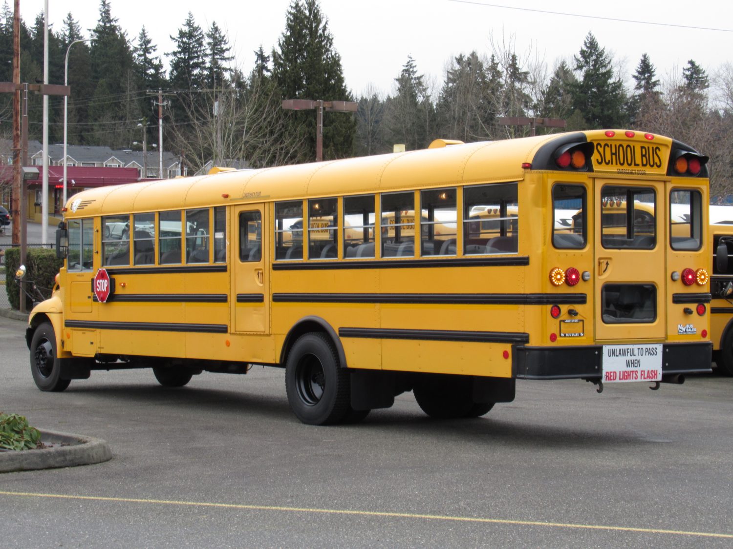 2005 International CE-300 71 Passenger Conventional School Bus - B75182 - Image 4