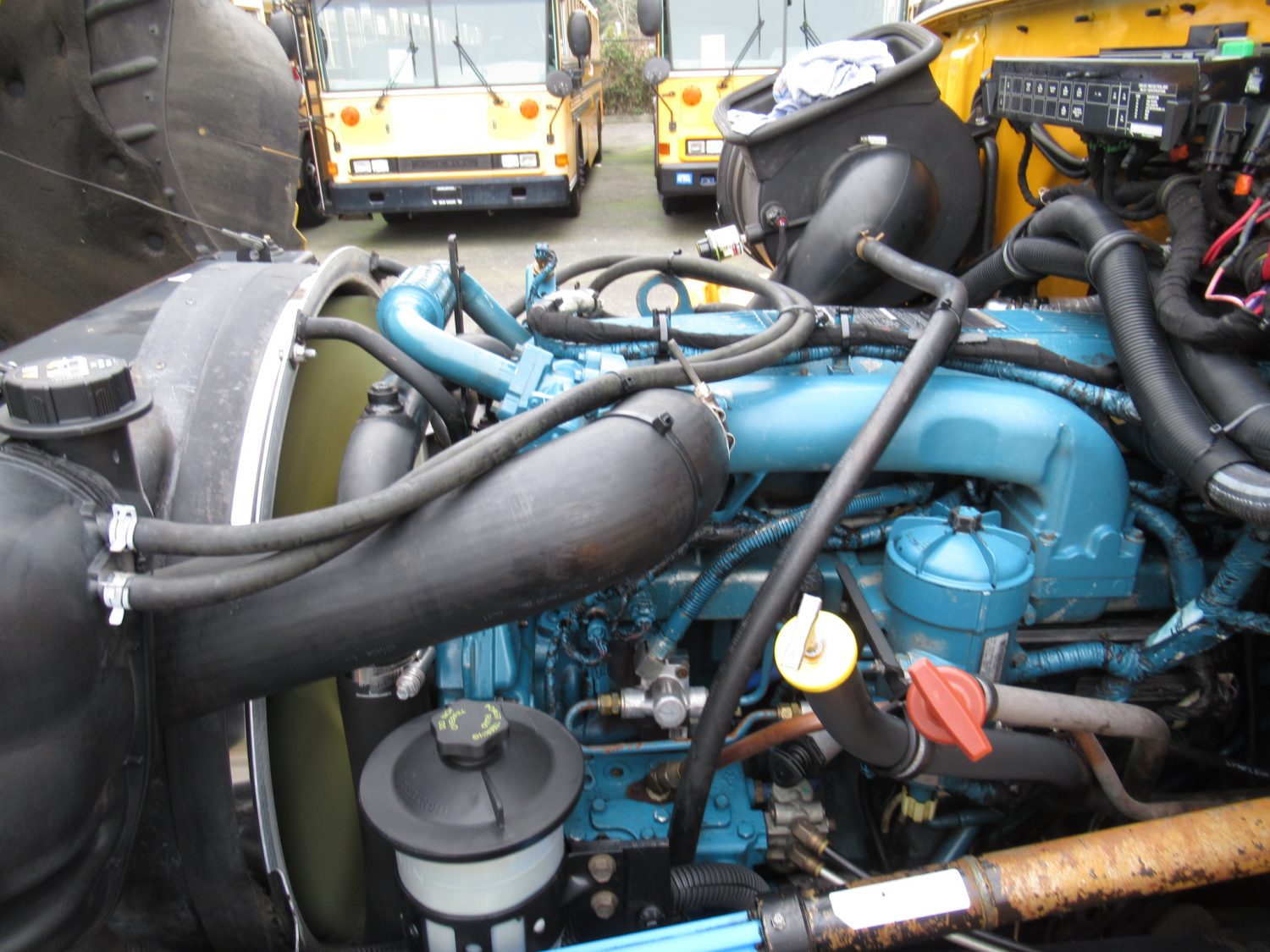 2005 International CE-300 71 Passenger Conventional School Bus - B75182 - Image 10