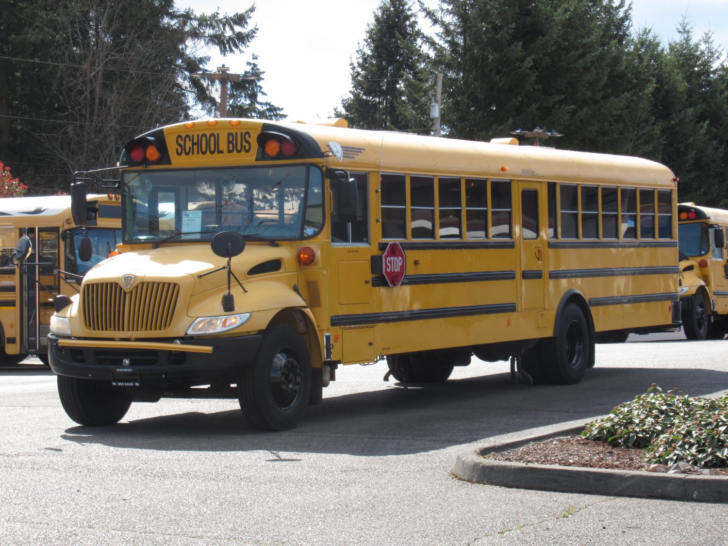 2005 International CE-300 71 Passenger Conventional School Bus - B75505 - Image 2