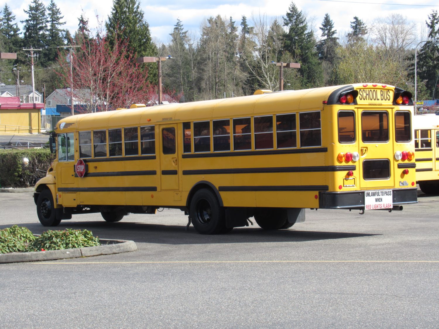 2005 International CE-300 71 Passenger Conventional School Bus - B75505 - Image 4