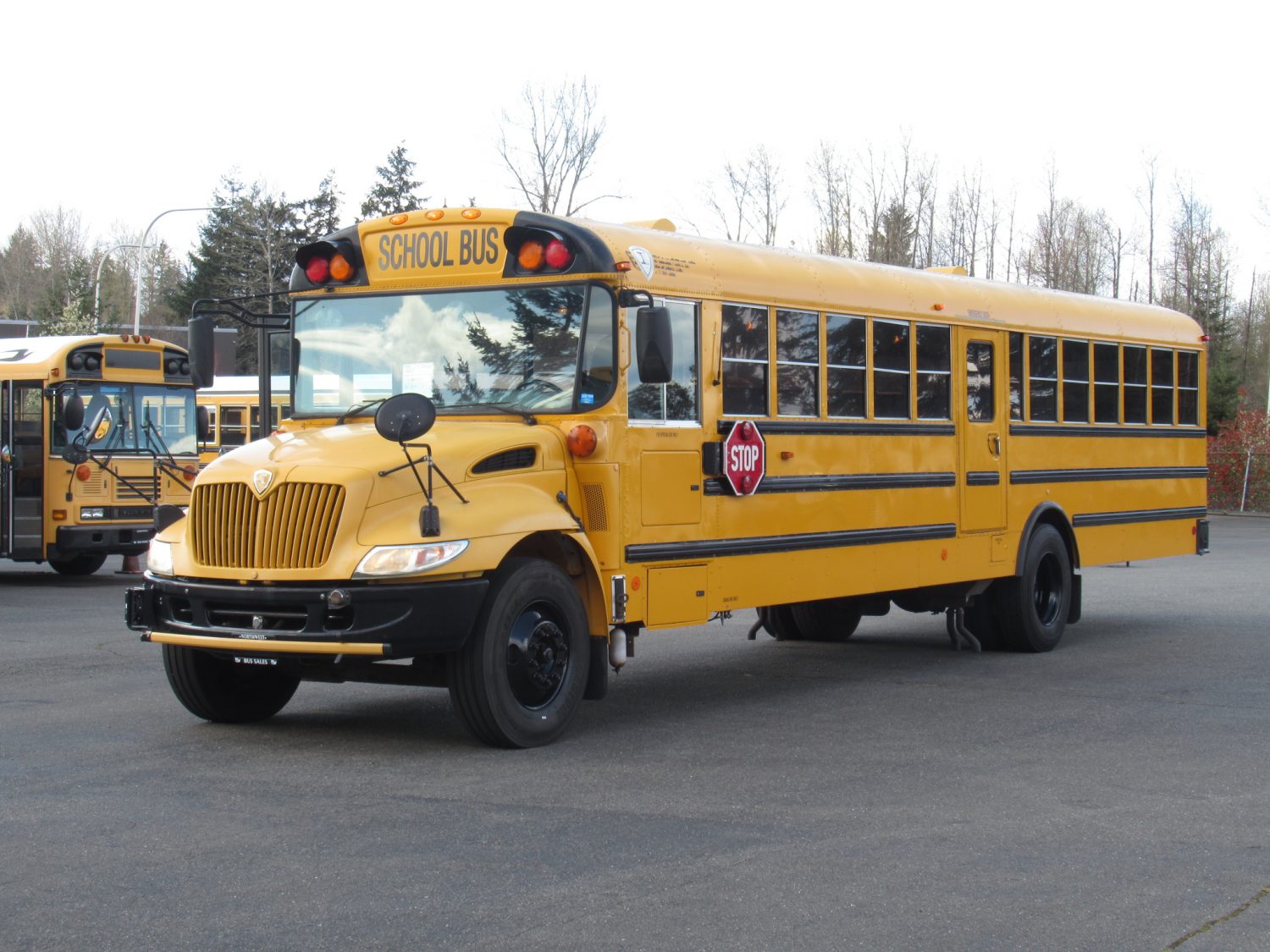 2005 International CE-300 71 Passenger Conventional School Bus - B75506 - Image 2