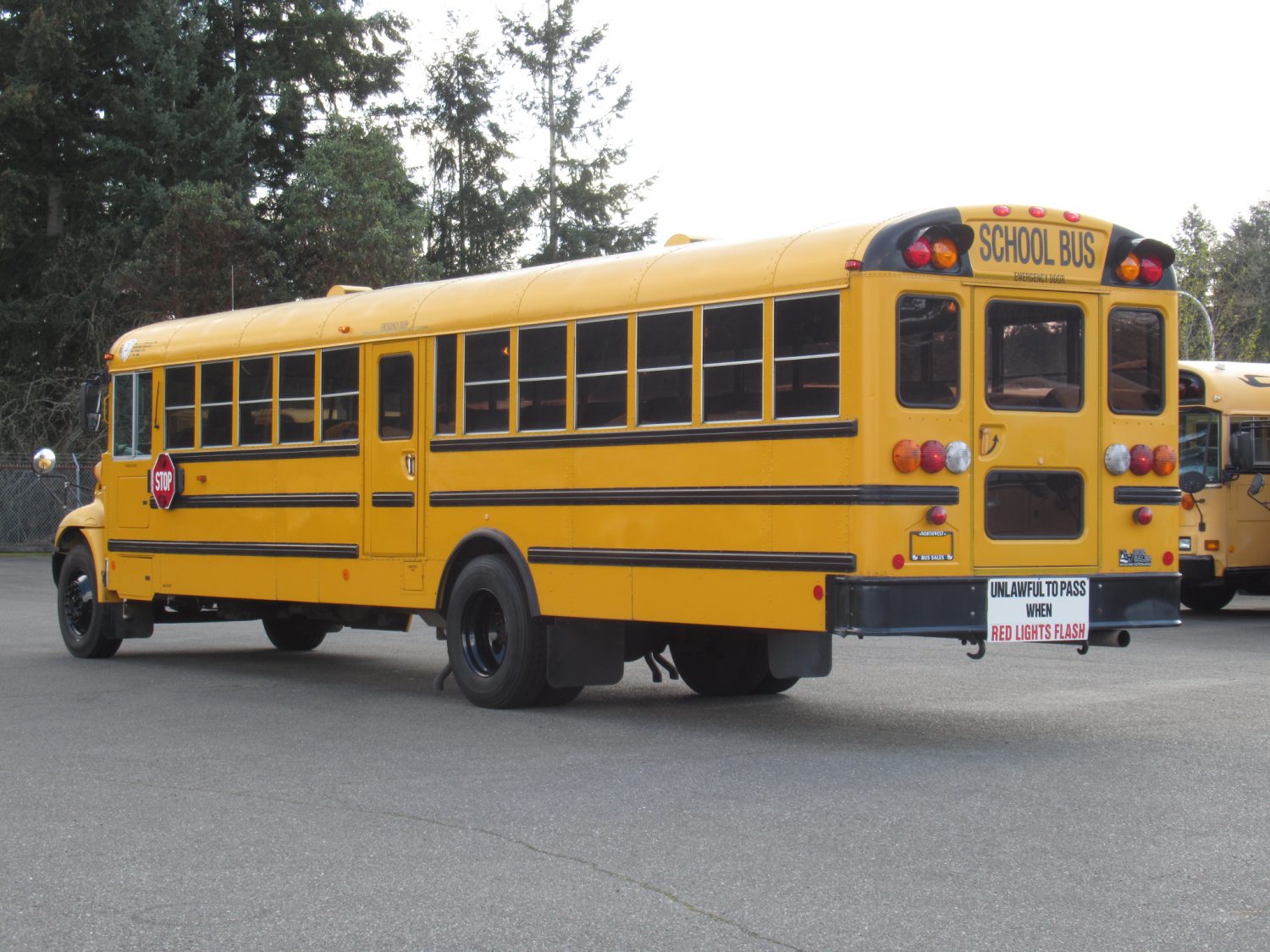 2005 International CE-300 71 Passenger Conventional School Bus - B75506 - Image 4