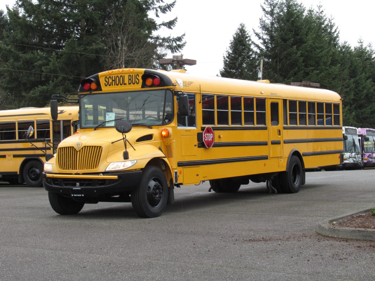2005 International CE-300 71 Passenger Conventional School Bus - B11826 - Image 2