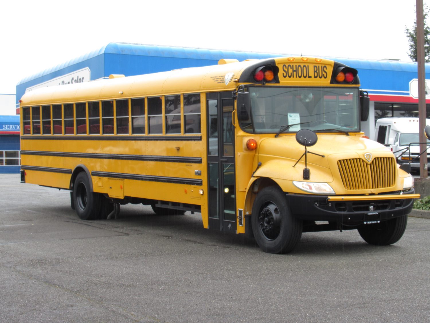2005 International CE-300 71 Passenger Conventional School Bus - B11826
