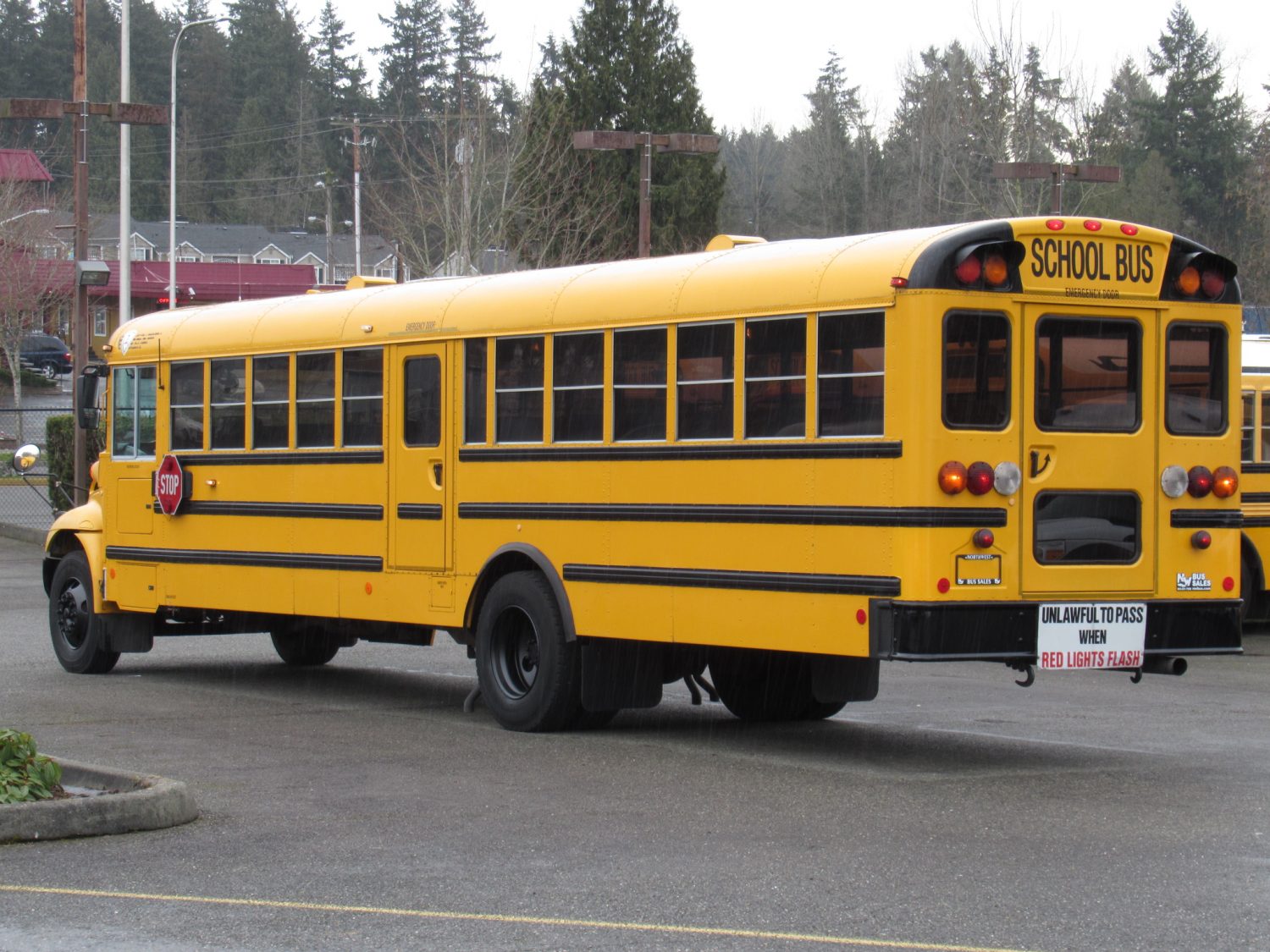 2005 International CE-300 71 Passenger Conventional School Bus - B11826 - Image 4