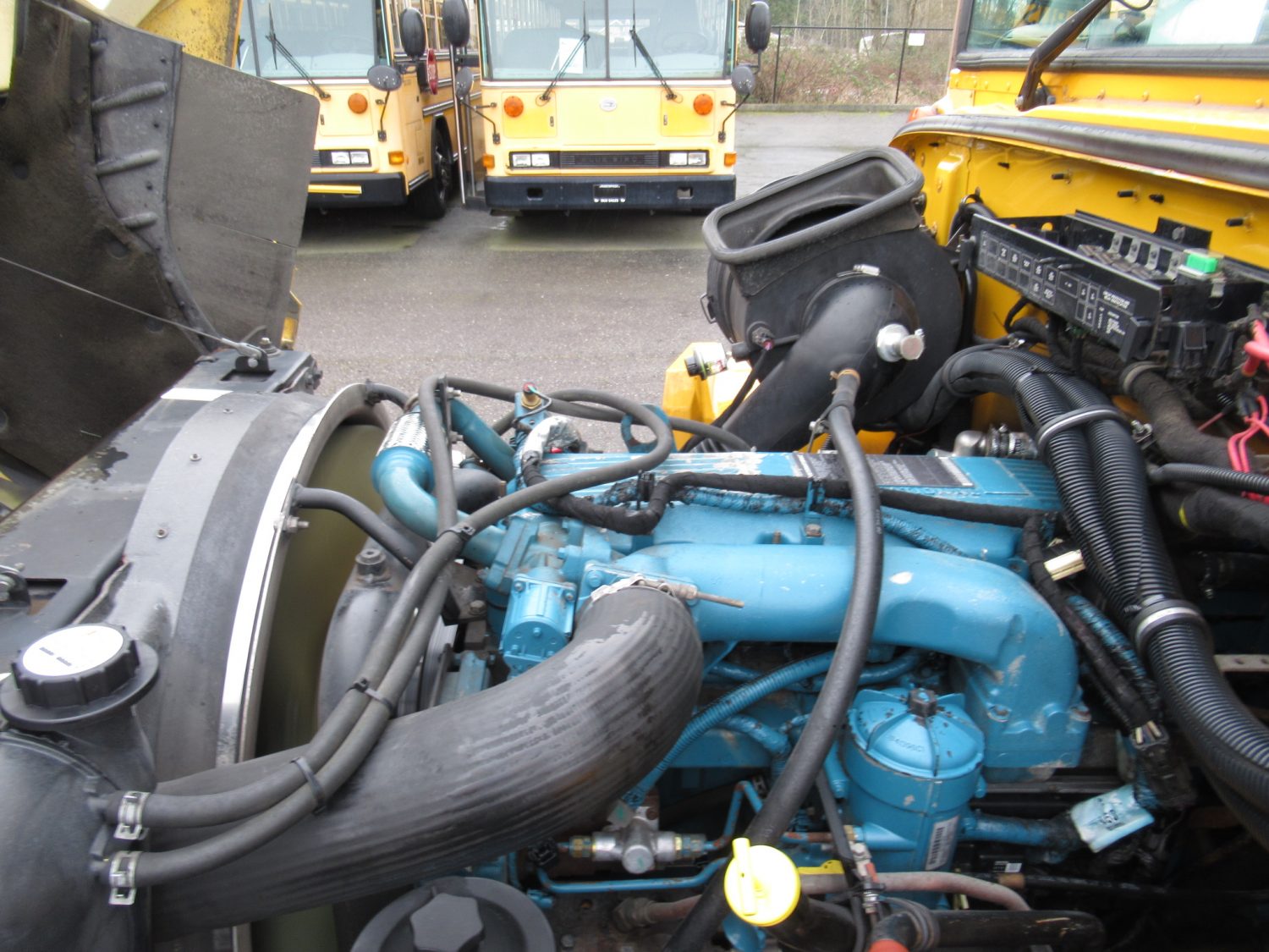 2005 International CE-300 71 Passenger Conventional School Bus - B11826 - Image 10