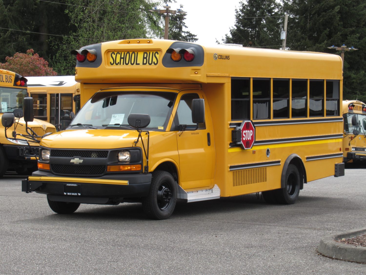 2010 Chevrolet Collins Grand Bantam 12+1 ADA School Bus - B71331 - Image 2