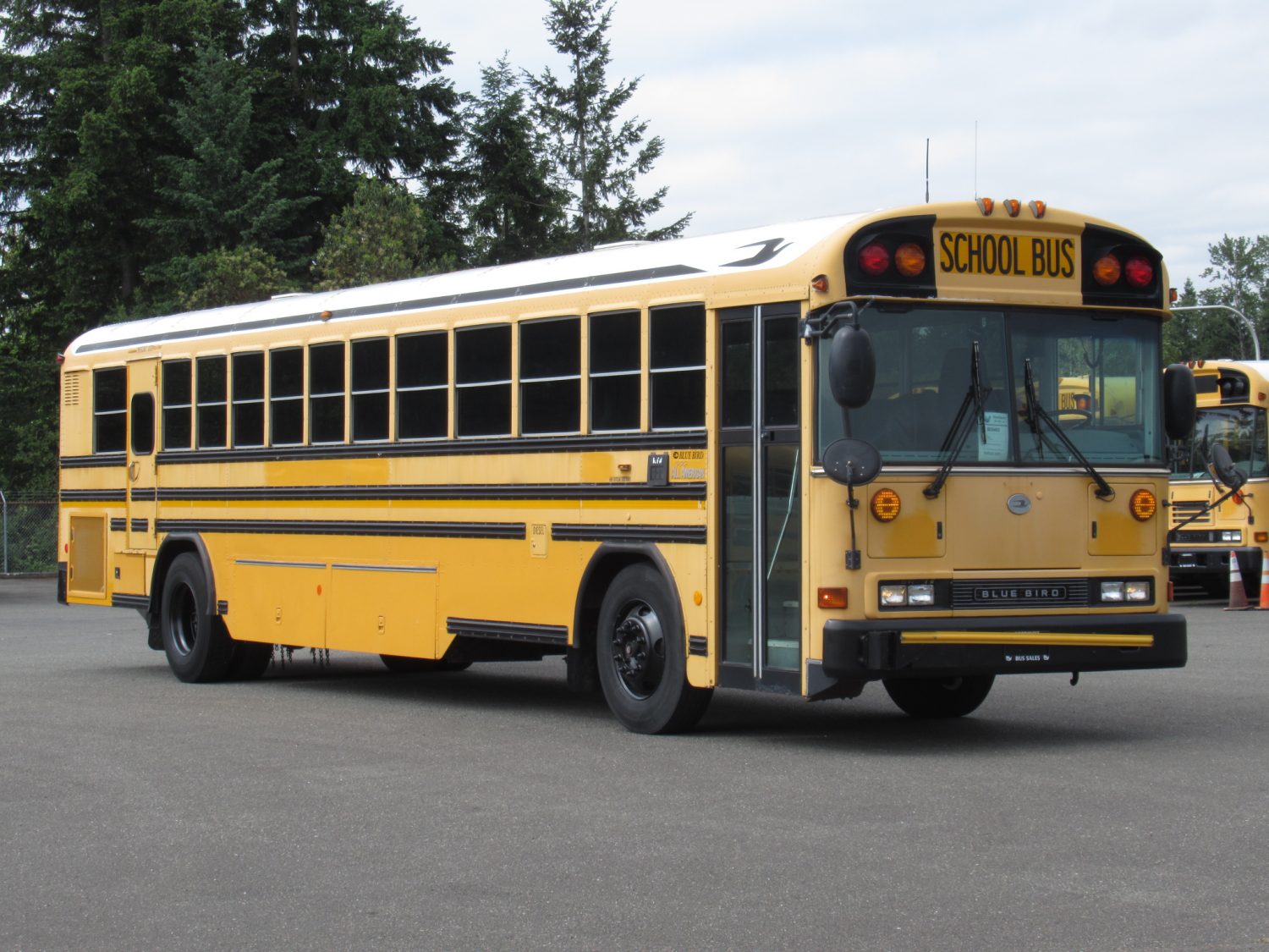 2006 Blue Bird All American 78 Passenger School Bus - B35483