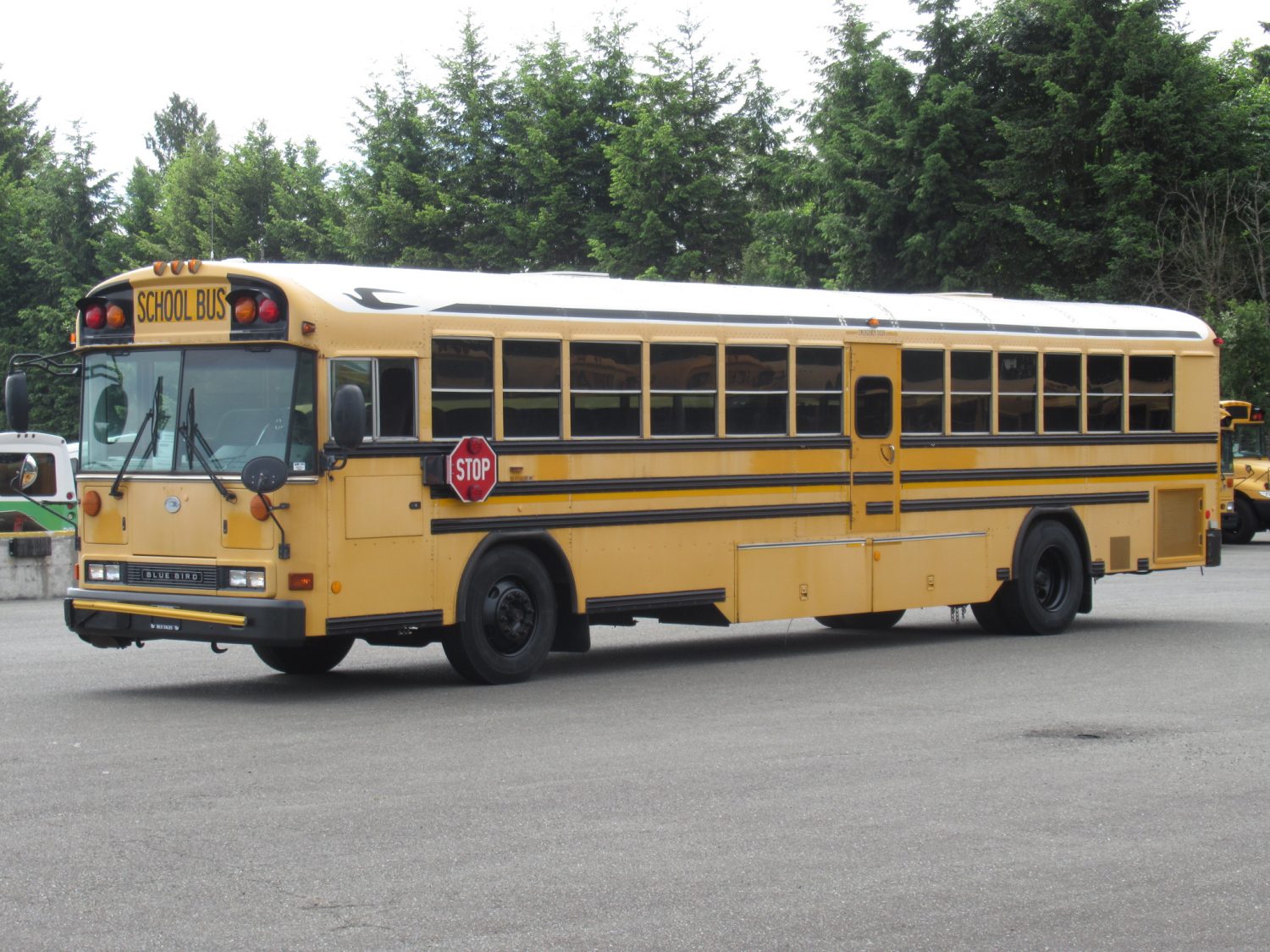 2006 Blue Bird All American 78 Passenger School Bus - B35483 - Image 2