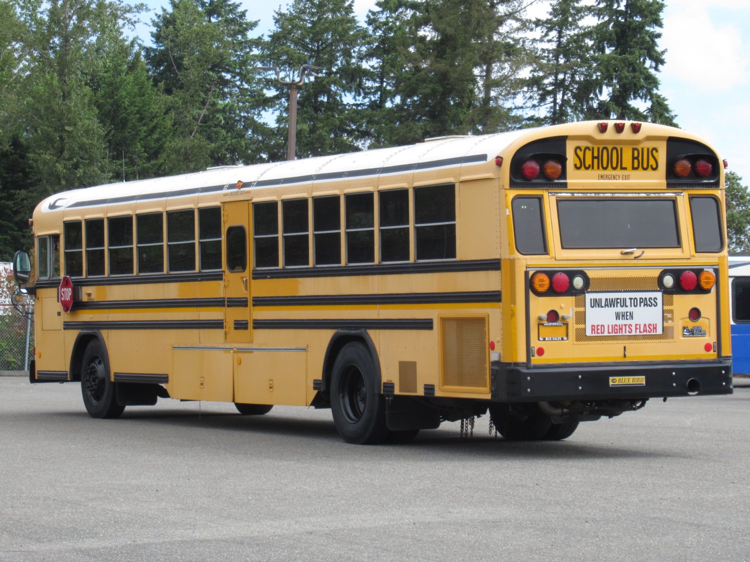 2006 Blue Bird All American 78 Passenger School Bus - B35483 - Image 4
