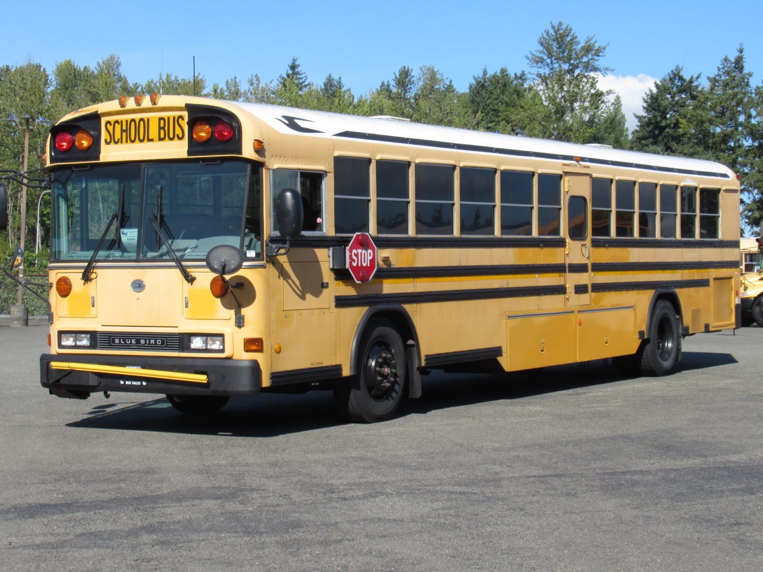 2006 Blue Bird All American 78 Passenger School Bus - B35484 - Image 2