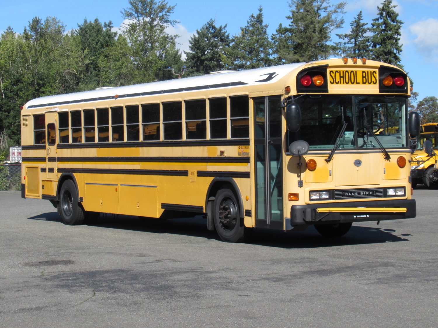 2006 Blue Bird All American 78 Passenger School Bus - B35484