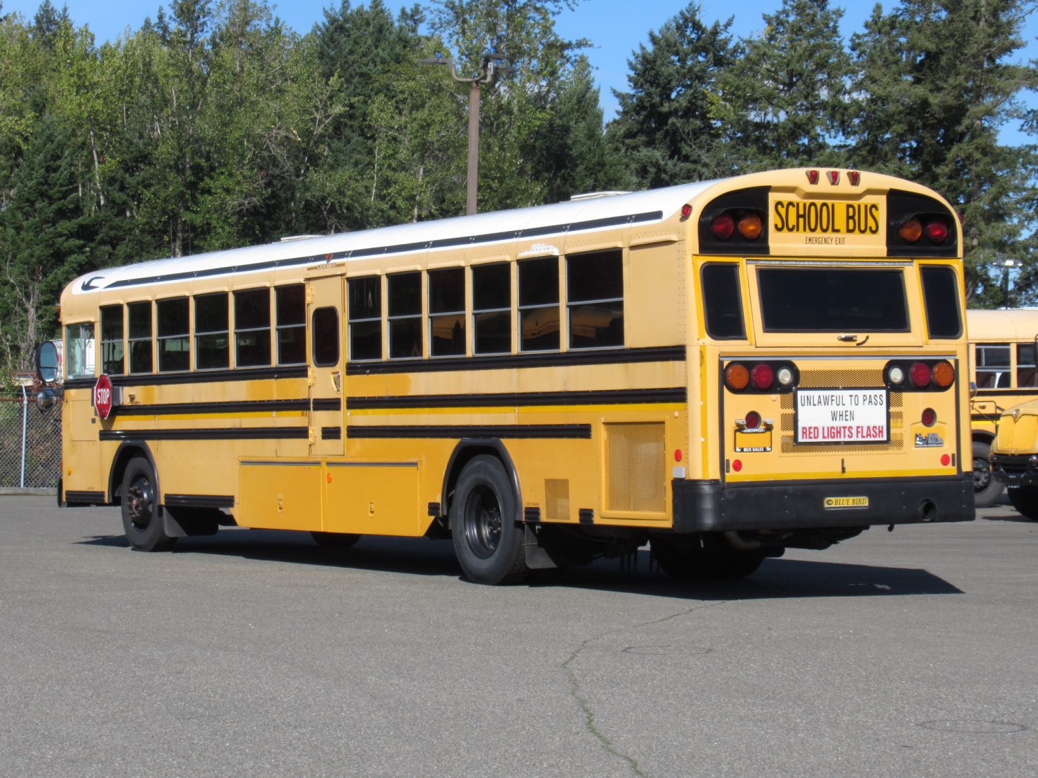 2006 Blue Bird All American 78 Passenger School Bus - B35484 - Image 4