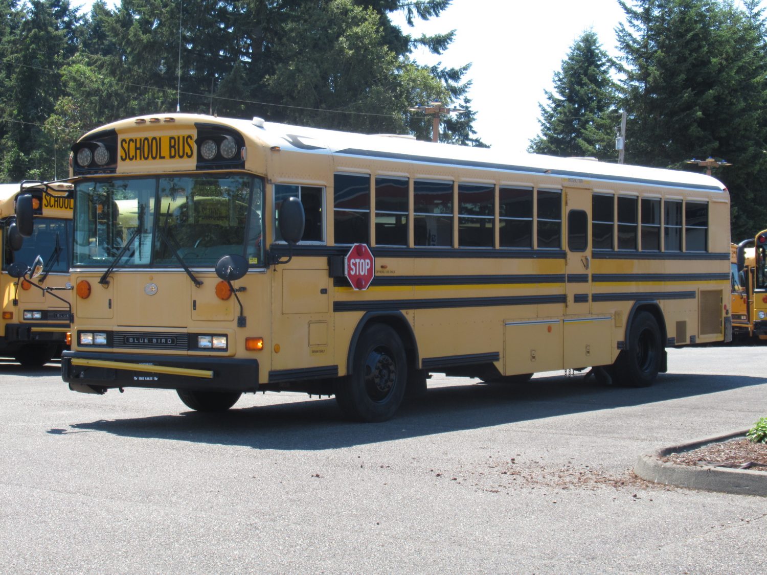 2007 Blue Bird All American 75 Passenger School Bus - B43223 - Image 2