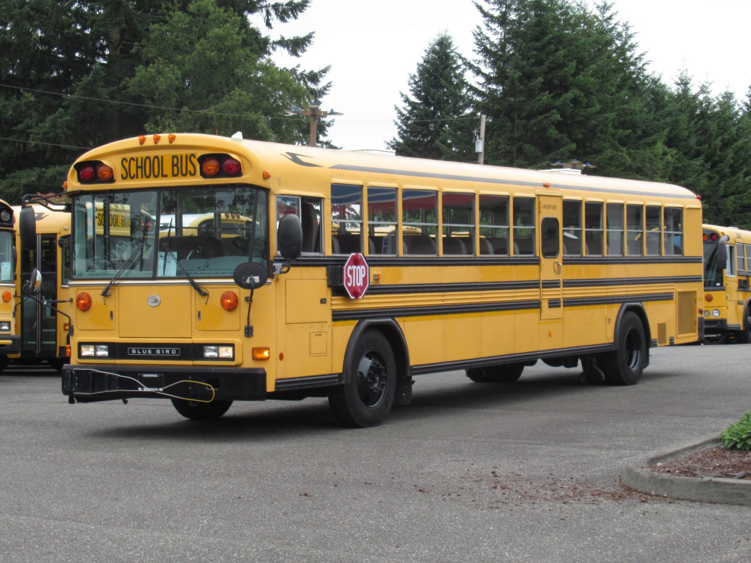 2003 Blue Bird All American 84 Passenger School Bus - B11045 - Image 2