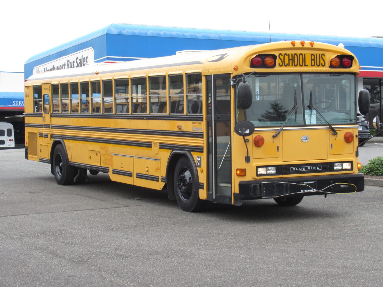2003 Blue Bird All American 84 Passenger School Bus - B11045