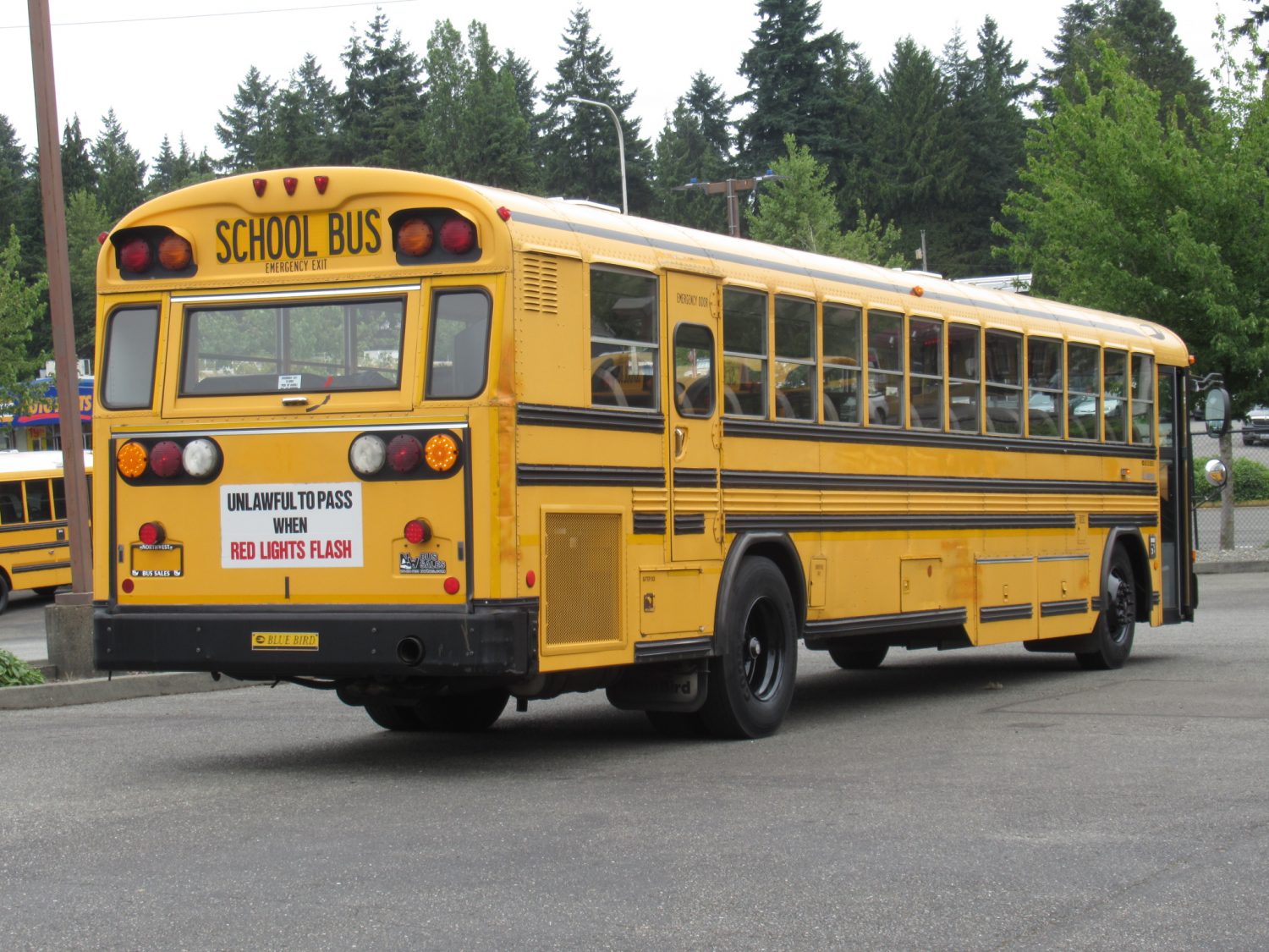 2003 Blue Bird All American 84 Passenger School Bus - B11045 - Image 3
