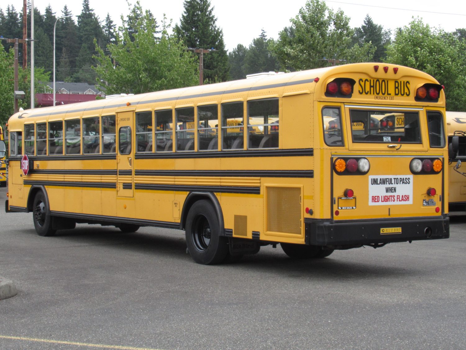 2003 Blue Bird All American 84 Passenger School Bus - B11045 - Image 4