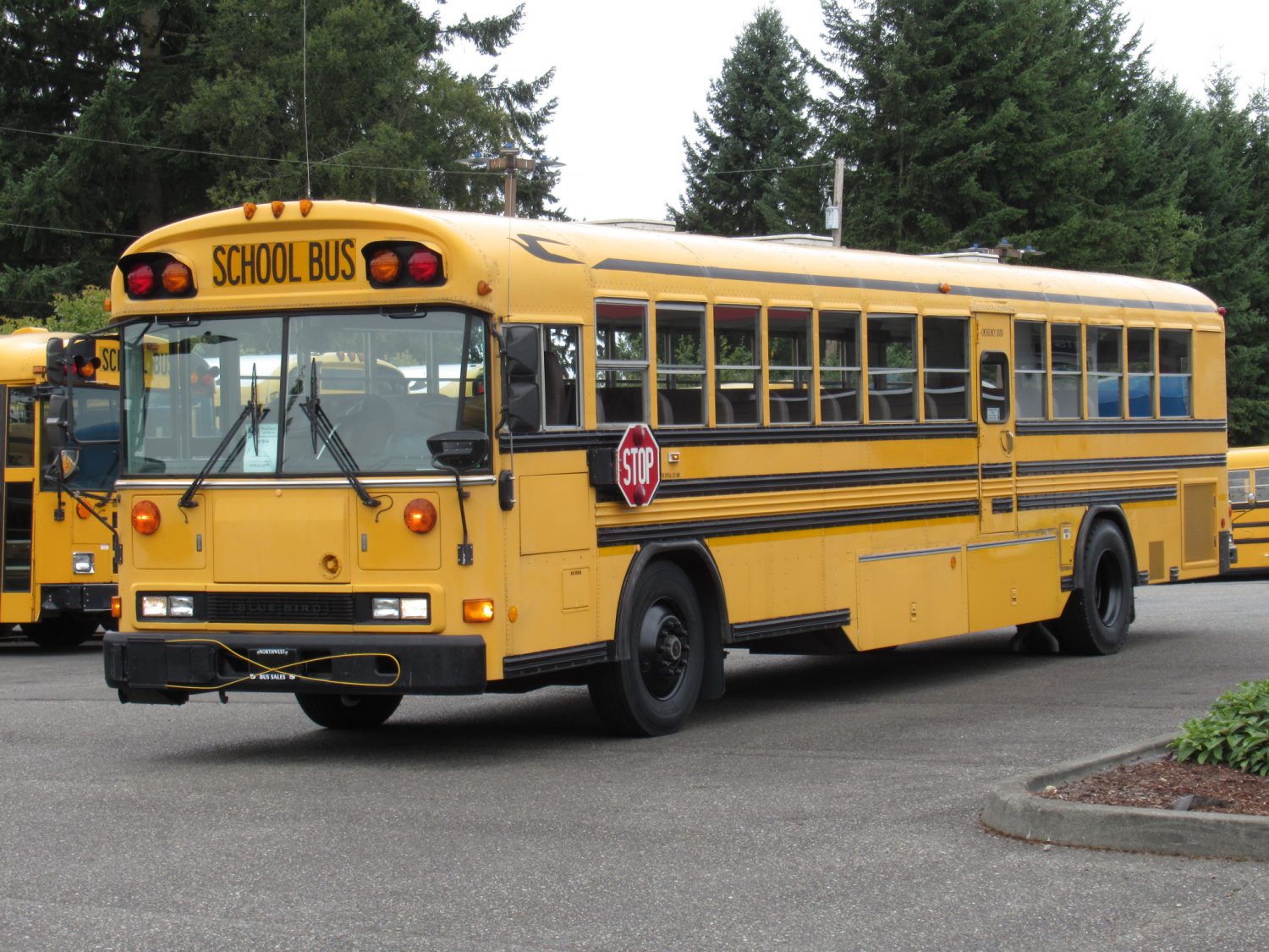 2000 Blue Bird All American 78 Passenger School Bus - B87864 - Image 2