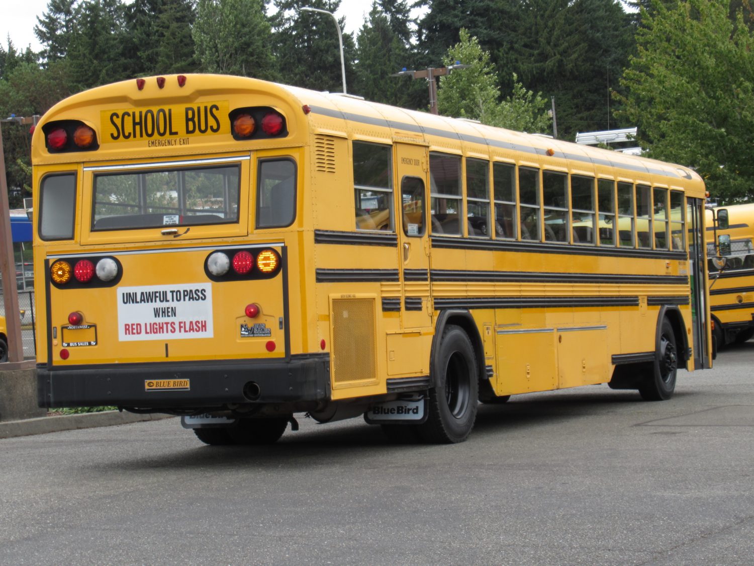 2000 Blue Bird All American 78 Passenger School Bus - B87864 - Image 3