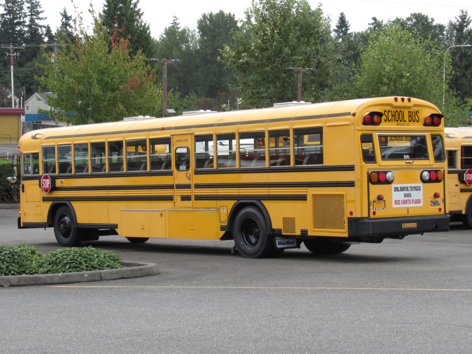 2000 Blue Bird All American 78 Passenger School Bus - B87864 - Image 4