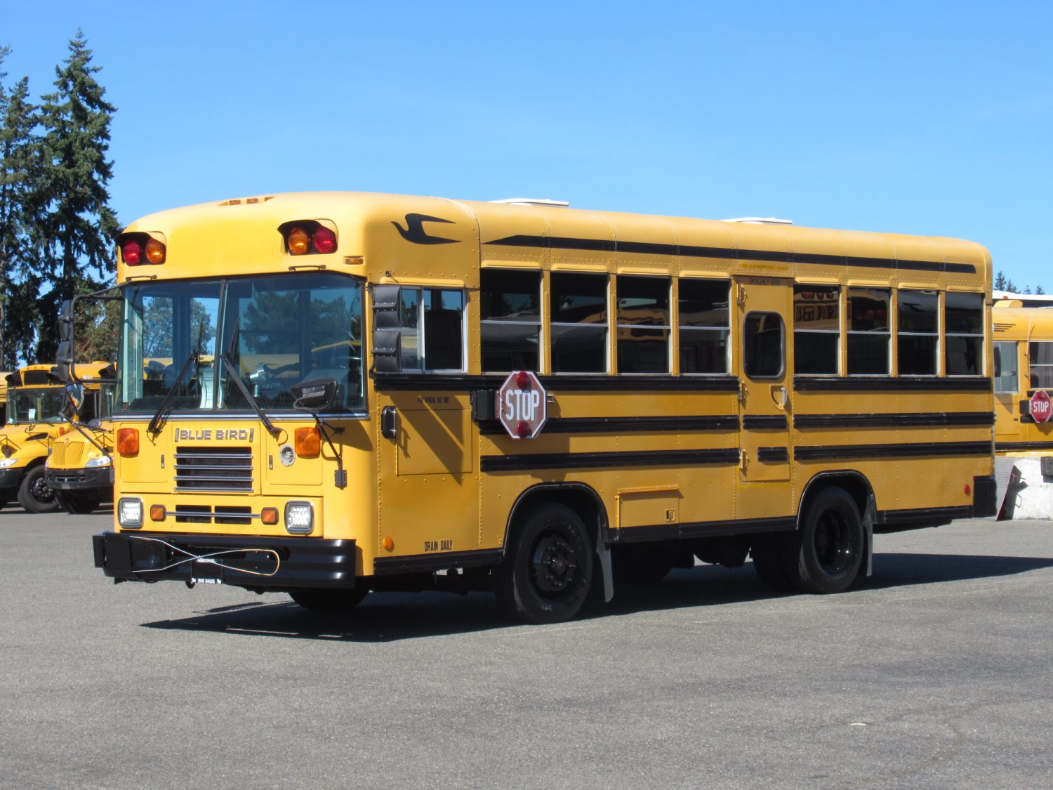 1999 Blue Bird TC-1000 42 Passenger School Bus - B89314 - Image 2
