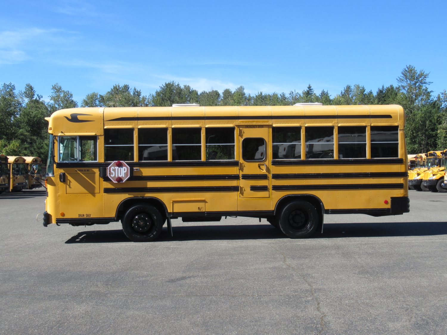 1999 Blue Bird TC-1000 42 Passenger School Bus - B89314 - Image 9