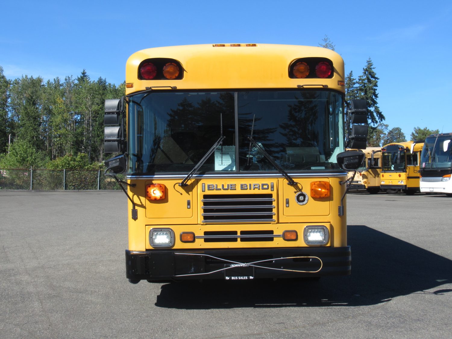 1999 Blue Bird TC-1000 42 Passenger School Bus - B89314 - Image 12
