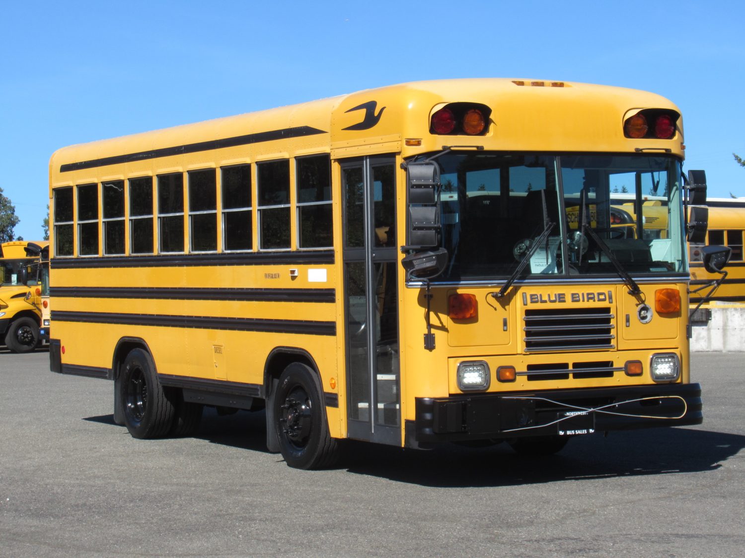 1999 Blue Bird TC-1000 42 Passenger School Bus - B89314