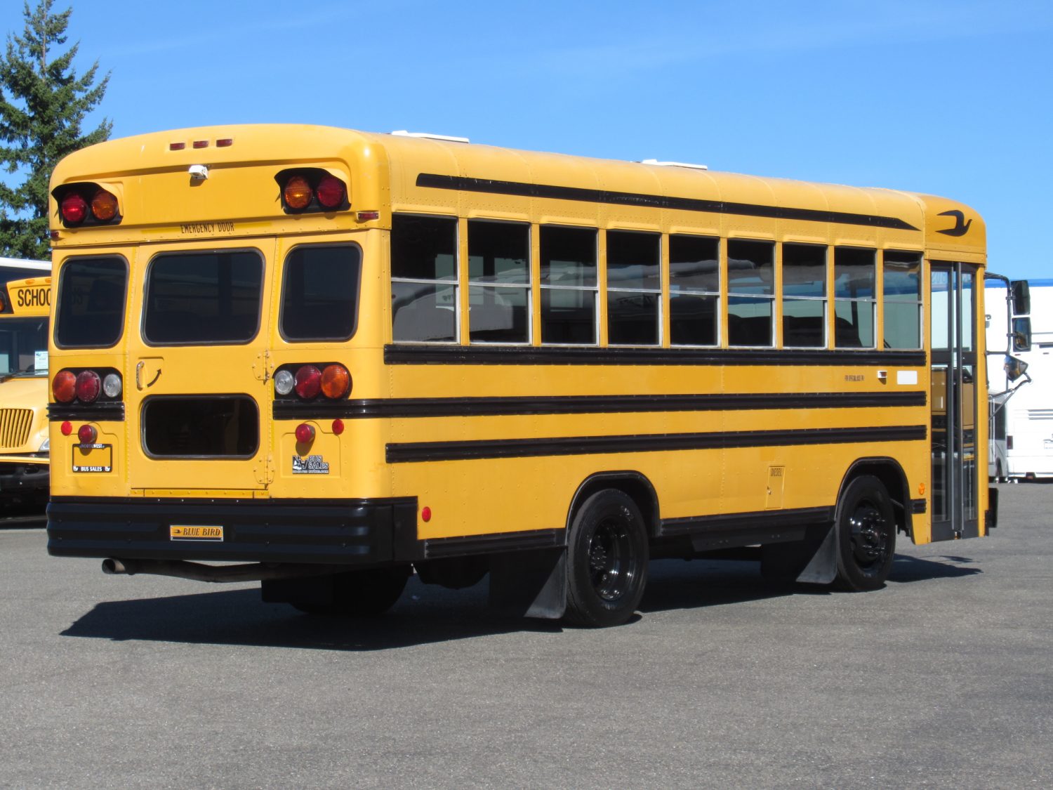 1999 Blue Bird TC-1000 42 Passenger School Bus - B89314 - Image 3