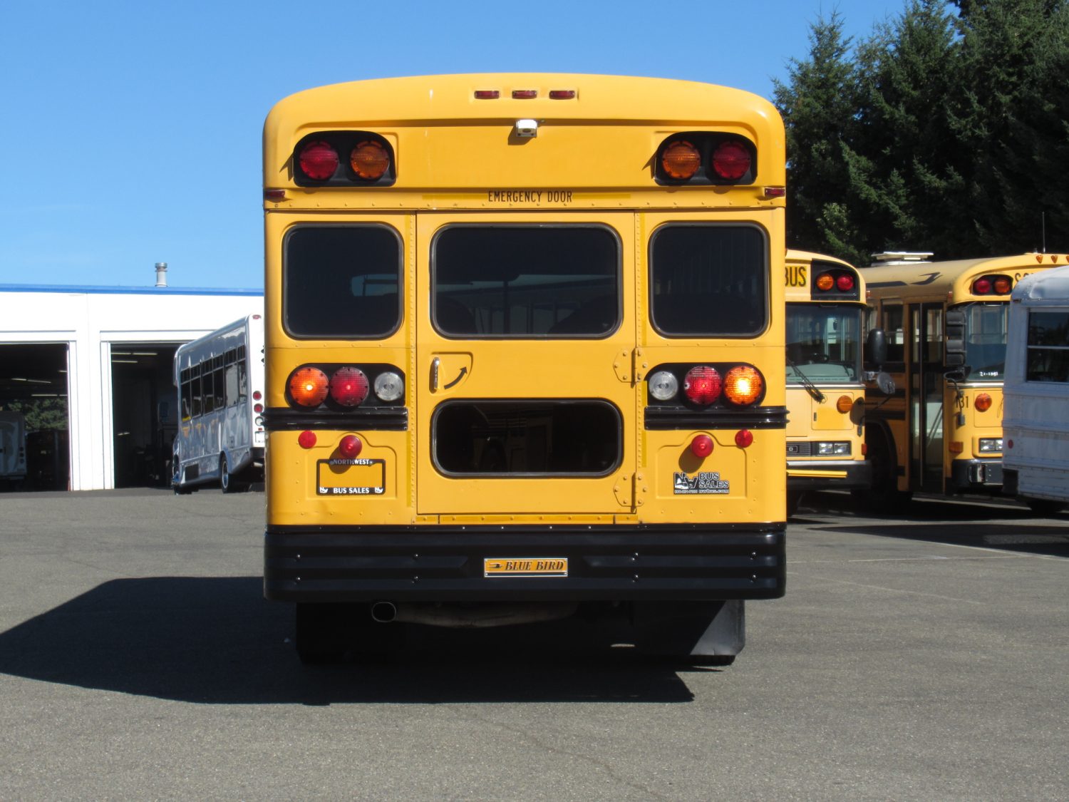 1999 Blue Bird TC-1000 42 Passenger School Bus - B89314 - Image 11