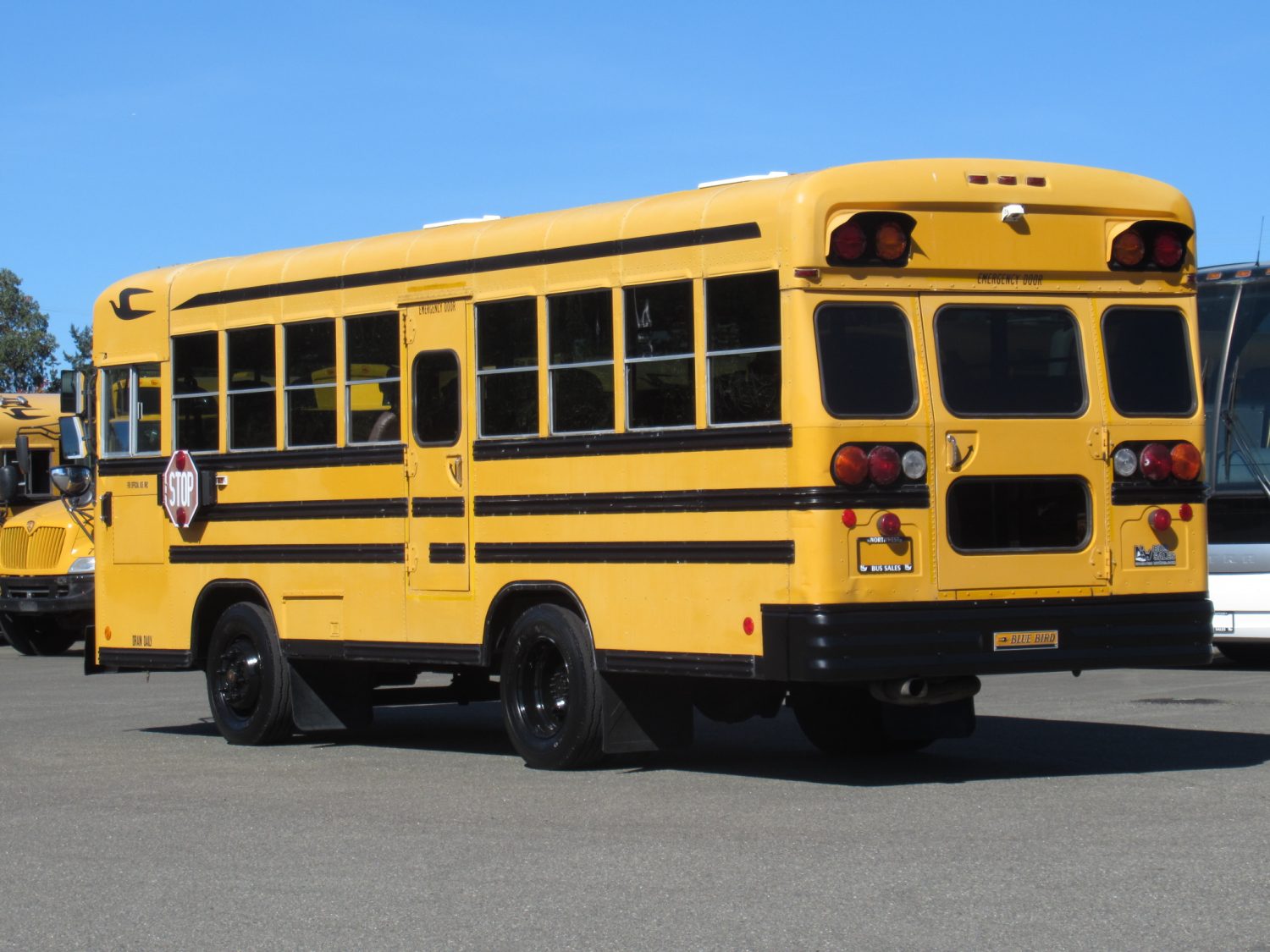 1999 Blue Bird TC-1000 42 Passenger School Bus - B89314 - Image 4