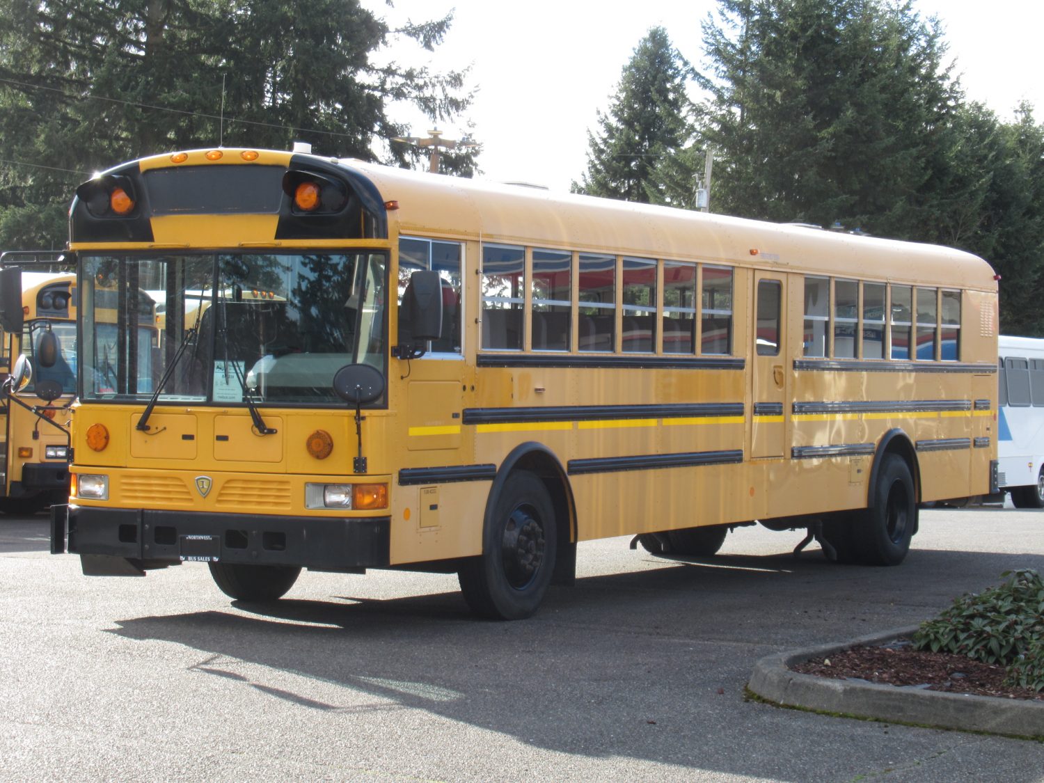 2009 International RE-300 78 Passenger School Bus - B47239 - Image 2
