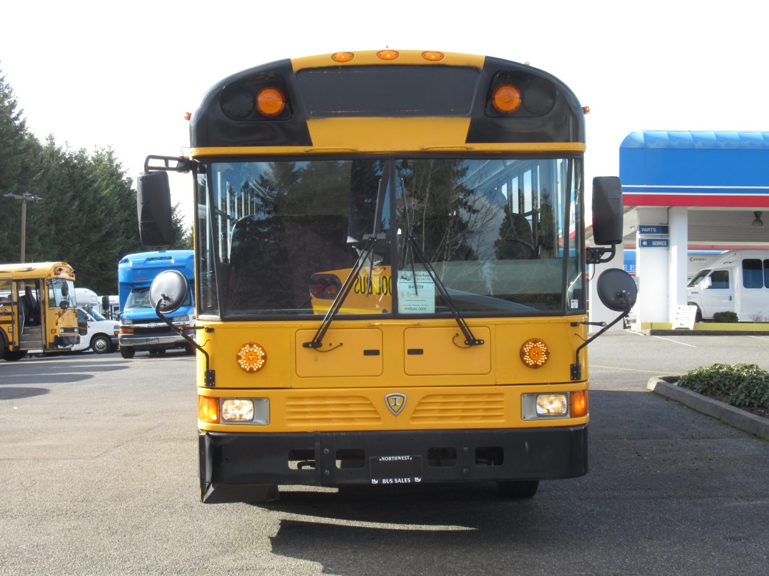 2009 International RE-300 78 Passenger School Bus - B47239 - Image 12