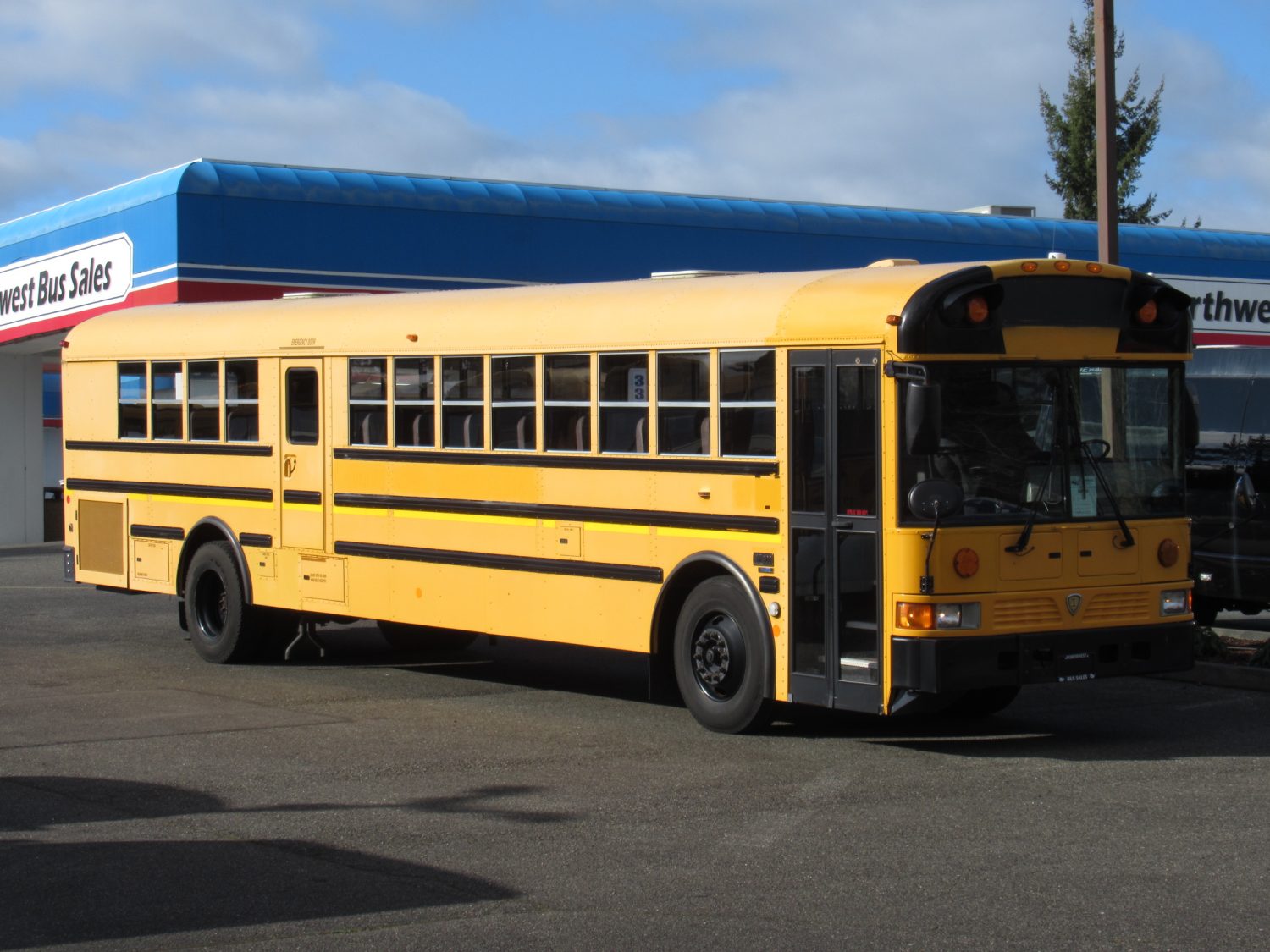 2009 International RE-300 78 Passenger School Bus - B47239