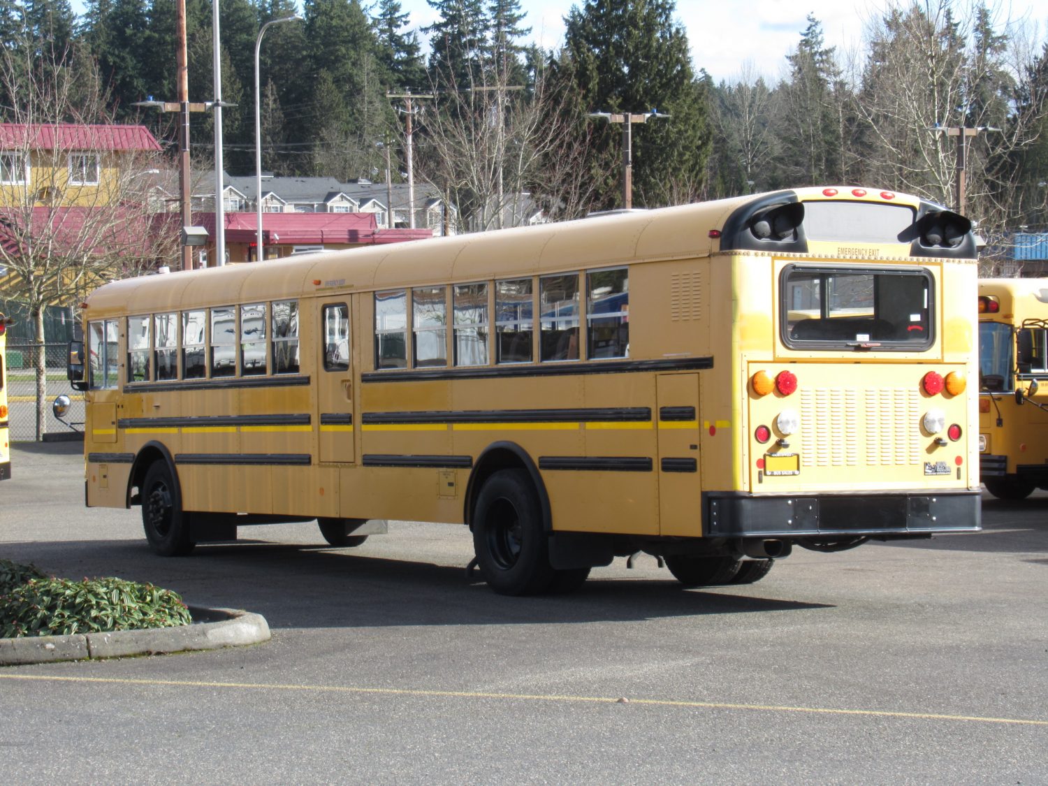 2009 International RE-300 78 Passenger School Bus - B47239 - Image 4