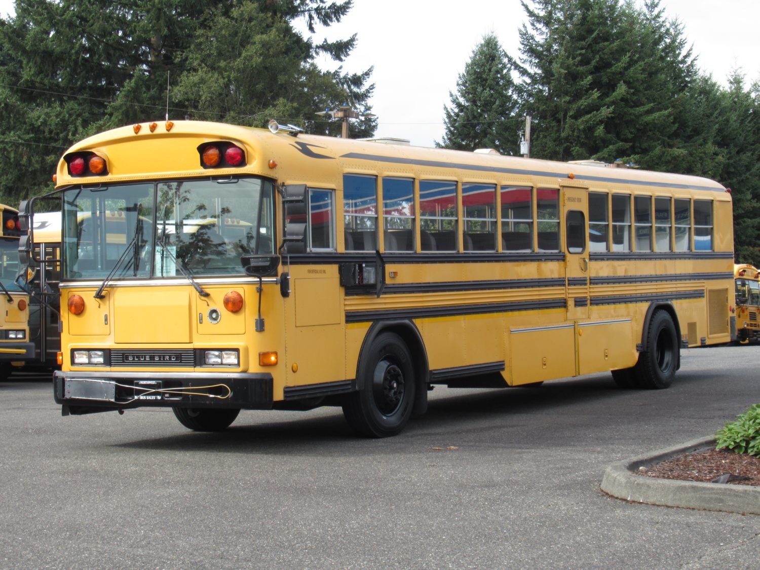 2004 Blue Bird All American 75 Passenger School Bus - B18597 - Image 2