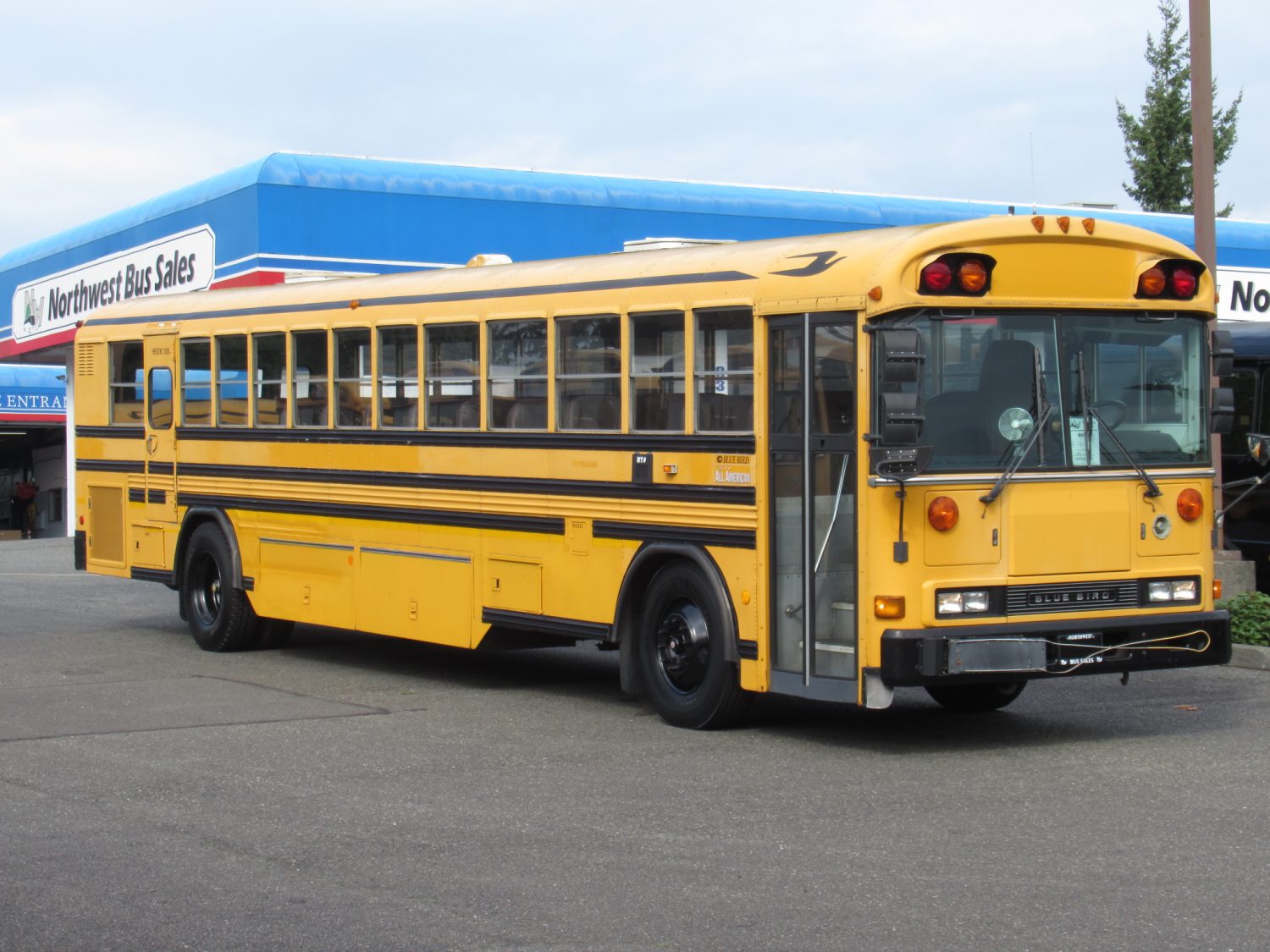 2004 Blue Bird All American 75 Passenger School Bus - B18597