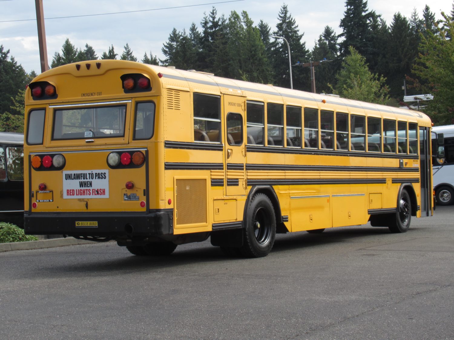 2004 Blue Bird All American 75 Passenger School Bus - B18597 - Image 3