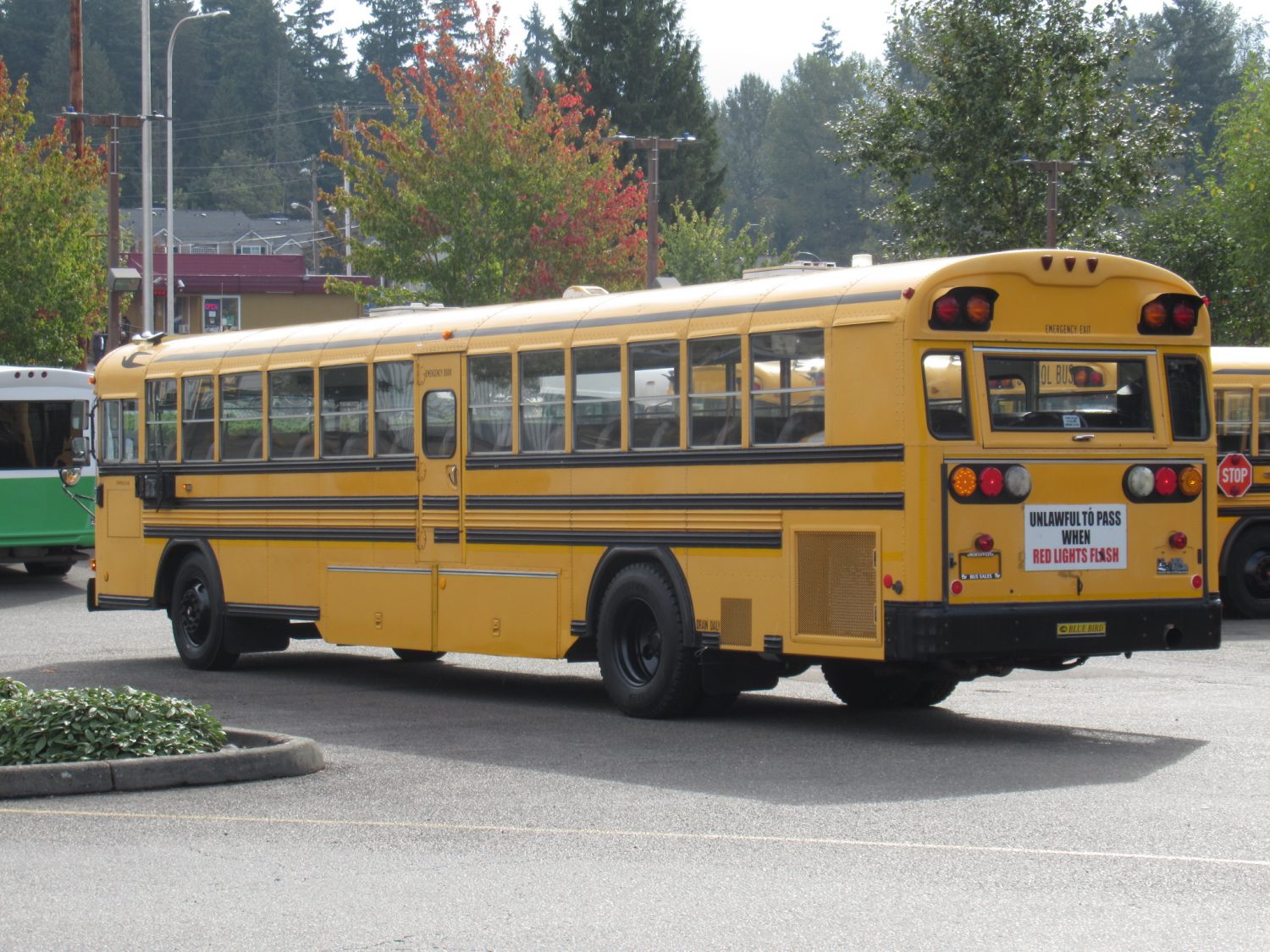 2004 Blue Bird All American 75 Passenger School Bus - B18597 - Image 4