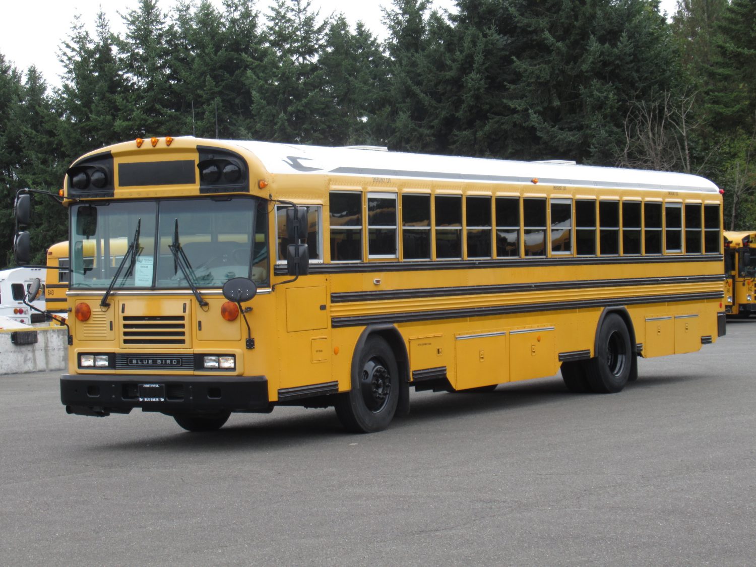 2009 Bluebird All American 84 Passenger School Bus - B60648 - Image 2
