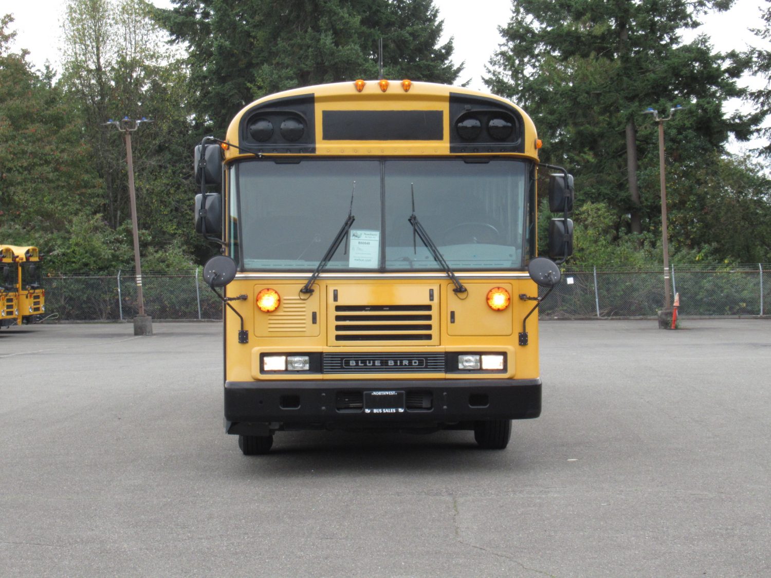 2009 Bluebird All American 84 Passenger School Bus - B60648 - Image 12