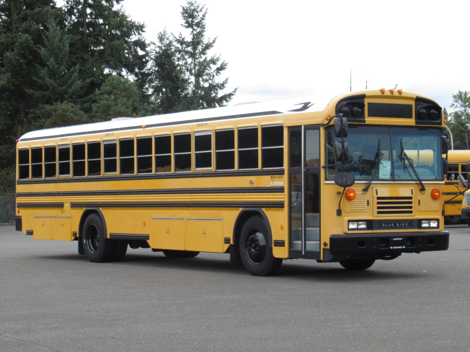 2009 Bluebird All American 84 Passenger School Bus - B60648