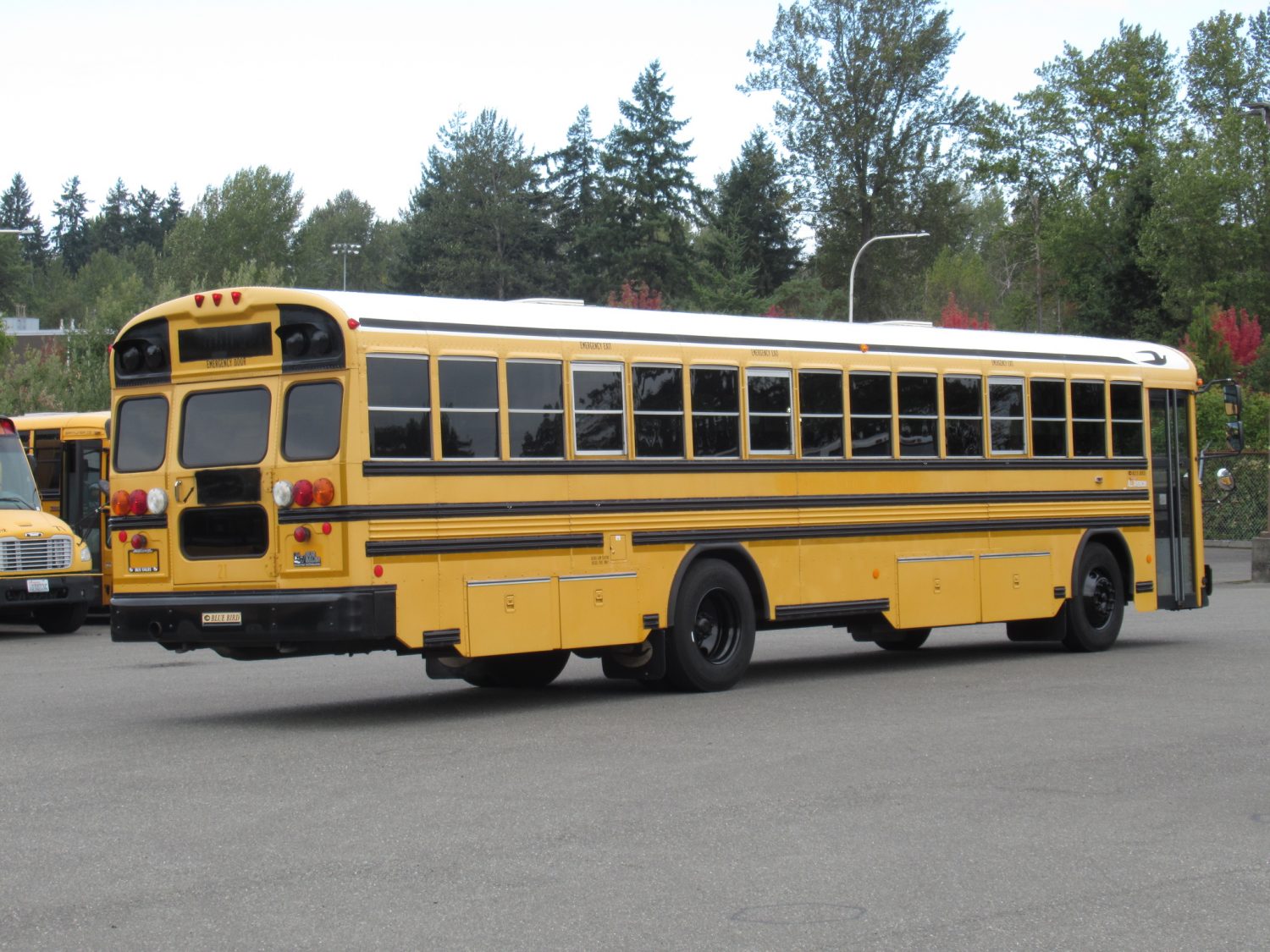 2009 Bluebird All American 84 Passenger School Bus - B60648 - Image 3