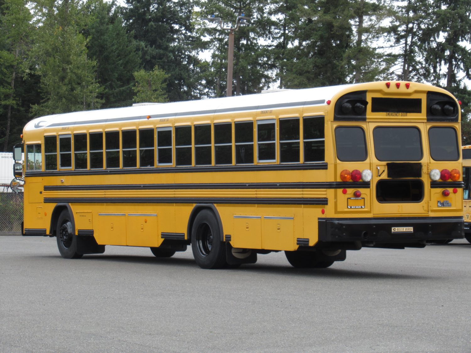 2009 Bluebird All American 84 Passenger School Bus - B60648 - Image 4
