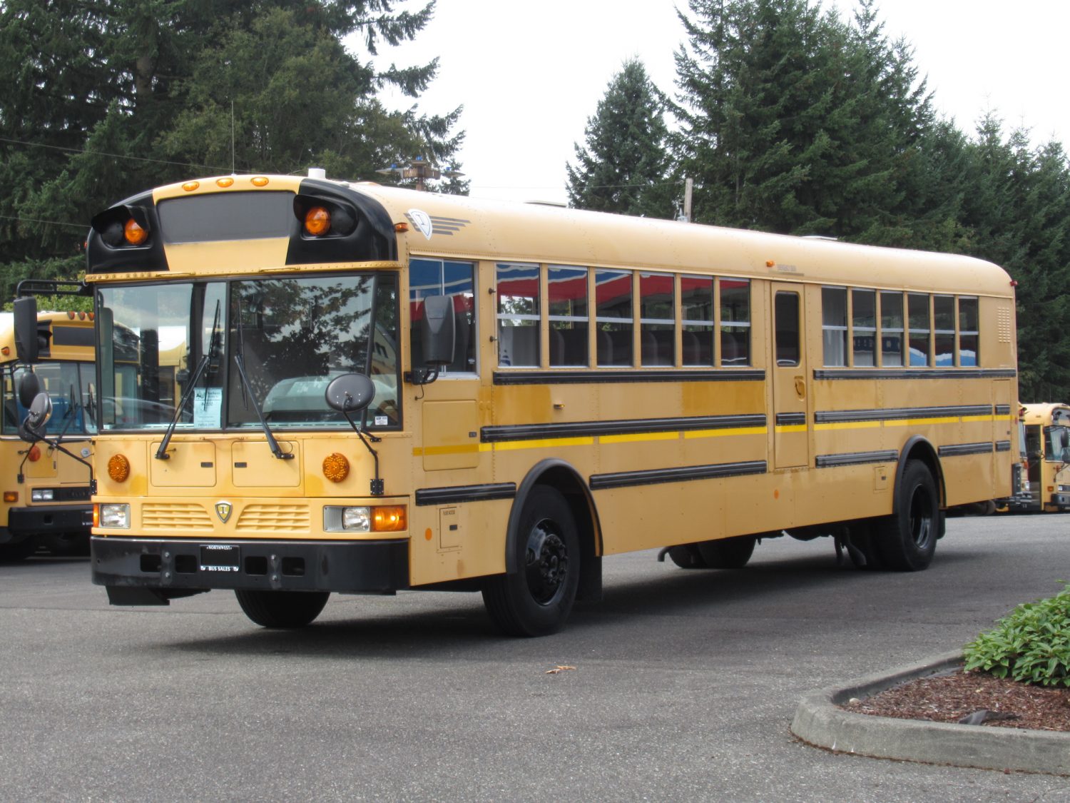 2009 International RE-300 78 Passenger School Bus - B47232 - Image 2
