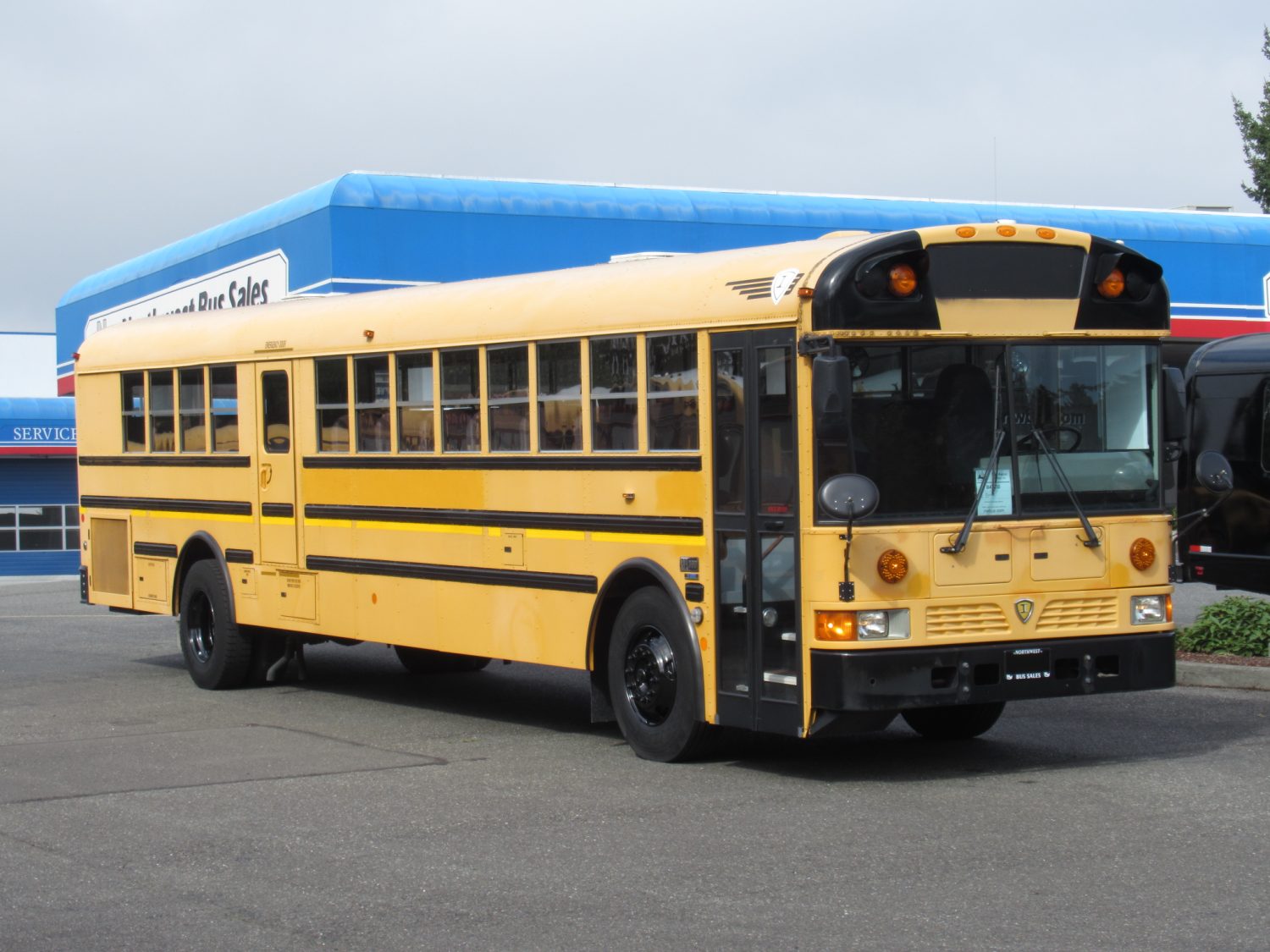 2009 International RE-300 78 Passenger School Bus - B47232